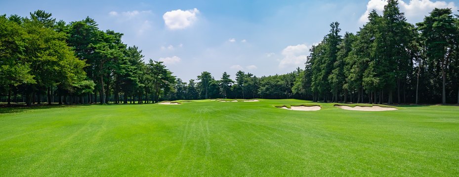 Royal Woodbine fairway on a clear summer morning.